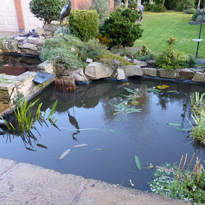 Autumn - clean & maintain the pond