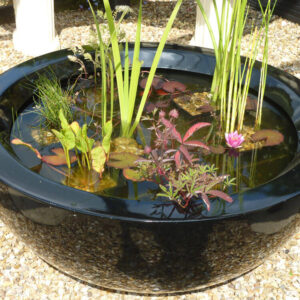 Fibreglass Container Ponds