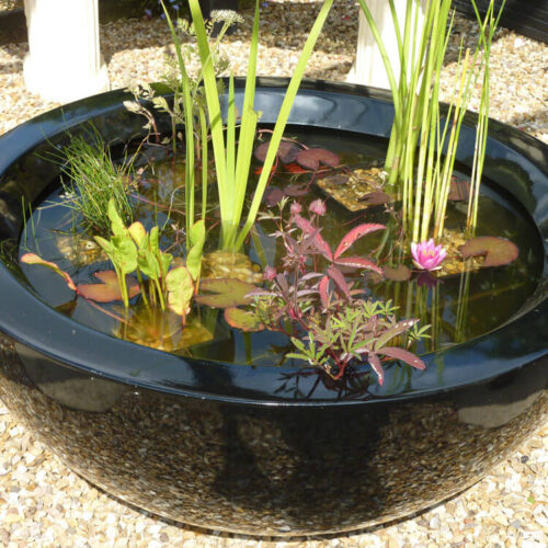 Container pond feature